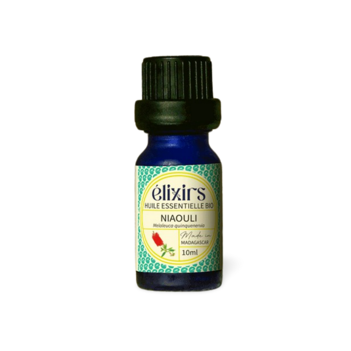 Huile Essentielle de Niaouli Bio (Melaleuca quinquenervia) : Respiration, Peau & Défenses, 10 ml - Élixirs de Clara
